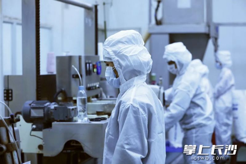 位于浏阳经开区的尔康制药生产车间。尔康制药 供图