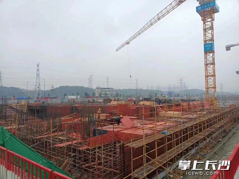 超过600名工人在项目现场加紧施工。  均为通讯员供图