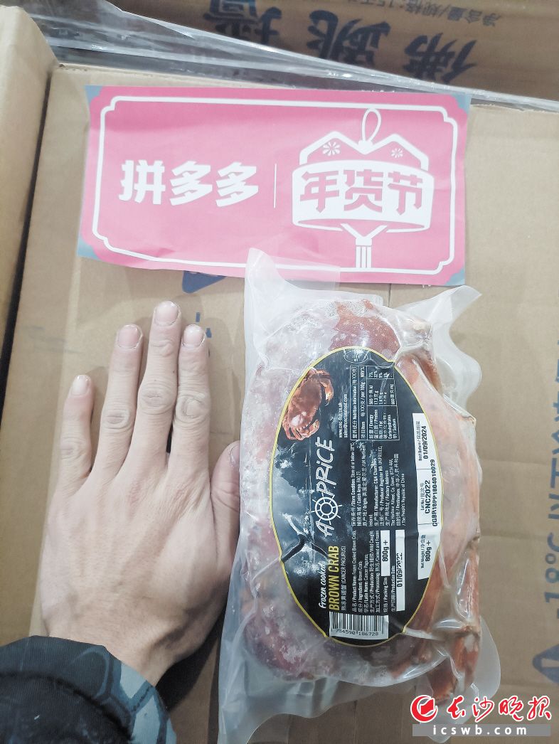 登陆拼多多年货节的爱尔兰面包蟹，栖息于水深30到100米的沙质或沙泥质海底，是全世界最多膏的蟹种之一，被称为“膏蟹之王”。 路远航 摄