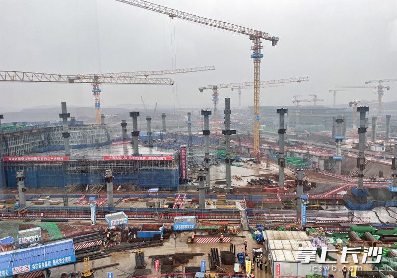 今日，长沙机场改扩建工程T3航站楼项目迎来全面复工复产，项目当前投入大型塔吊19台，后续将达到38台。 长沙晚报全媒体记者 王志伟 通讯员 何洪威 李想 摄影报道