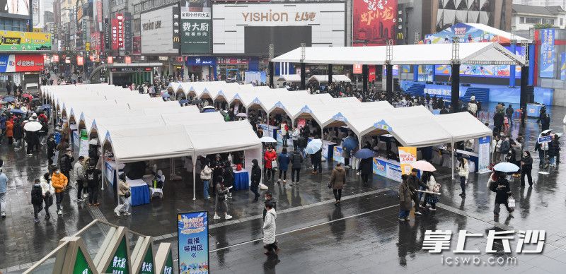 2月11日，2023”春风行动“暨促进大学生就业”金桥行动“长沙新消费人力资源专场活动在天心区黄兴广场举行。