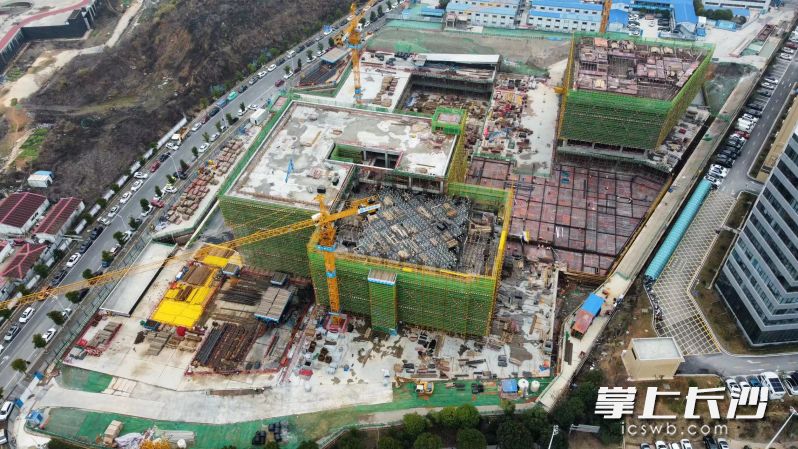 项目1号栋主楼高100米、共22层，采用的正是盒式结构。