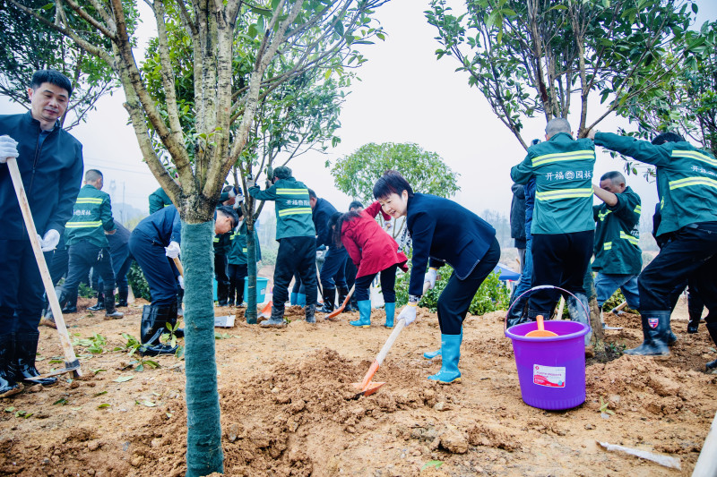 开福区党员干部、居民趁着大好春光植树播绿。 均为长沙晚报通讯员 刘润泽 摄