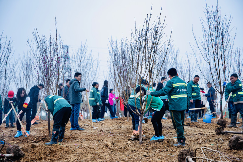 绕城高速青竹湖段将新建一座四季见绿的大型义务植树公园。