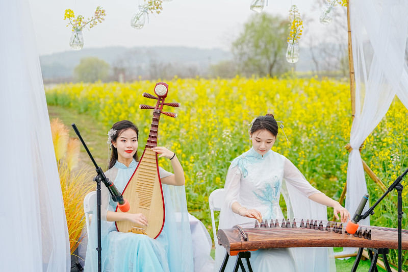 含浦彩色油菜花地里，古装美女正在演奏，美景美人美如画。