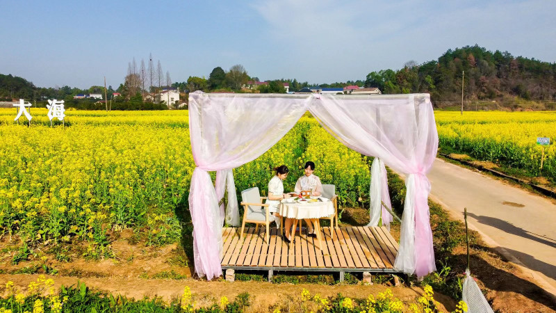 花中小憩。  均为主办方供图