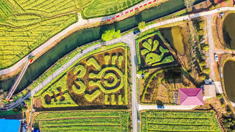 花海打造的图案。