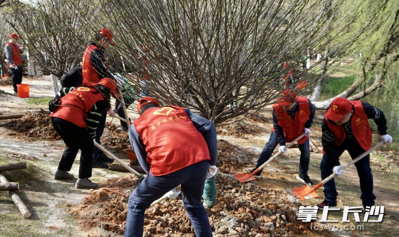 “城管蓝”“志愿红” 助力“生态绿”。均为长沙晚报通讯员 高思玥 摄