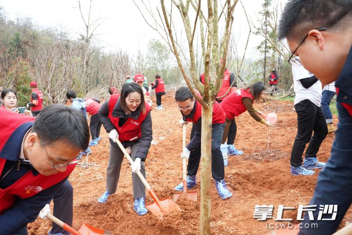 21日，“我在绿心有棵树”三年行动暨2023年义务植树活动在雨花区跳马镇启动。均为 长沙晚报通讯员 厉艳佳 供图