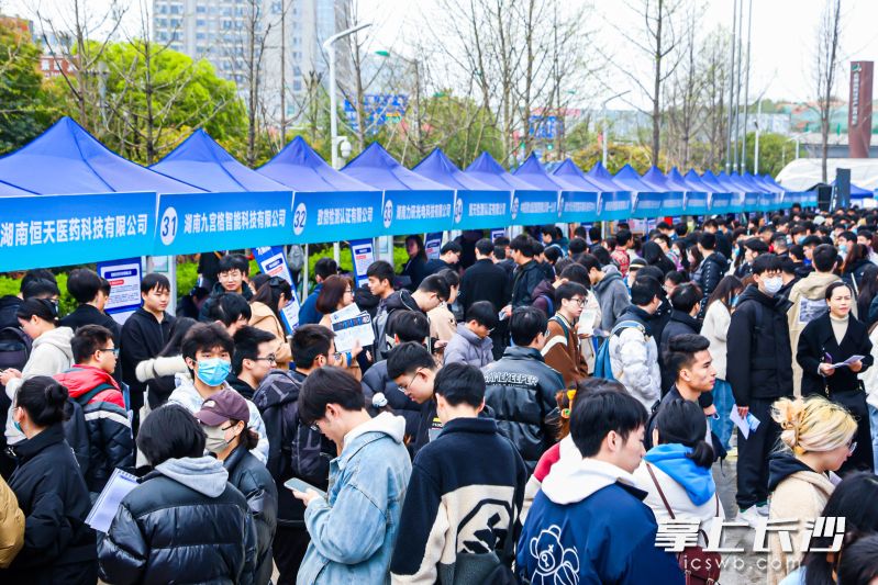 招聘会现场人气火爆。 均为长沙晚报通讯员陈卫供图