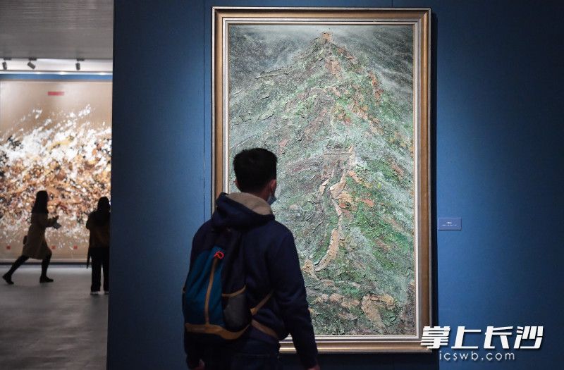 3月25日，“吾天吾地”张国龙大型空间艺术展在李自健美术馆开幕，艺术爱好者们正在观看展览。