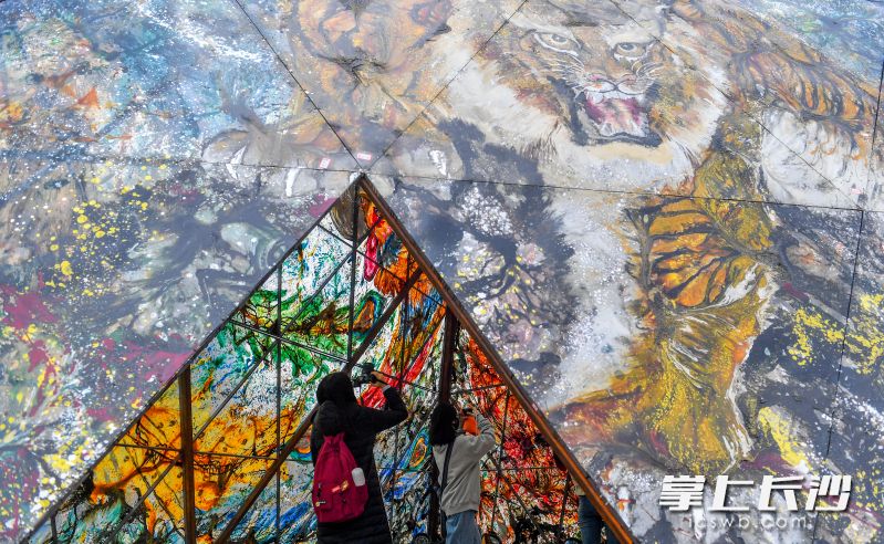 李自健美术馆入口，如梦如幻的大型空间装置《观天悟道》吸引了众多市民打卡。  均为长沙晚报全媒体记者邹麟摄