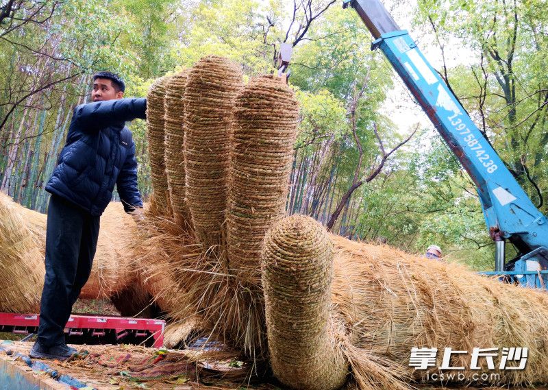 仅稻草人的手指就有近1米长。