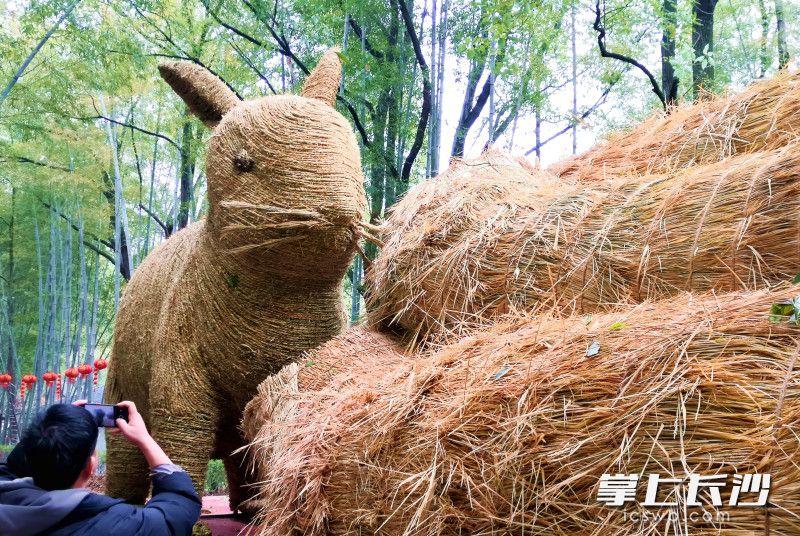站在车上的“稻草兔”吸引一名游客拍照。
