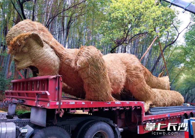 “稻草腥腥”占满了大卡车。