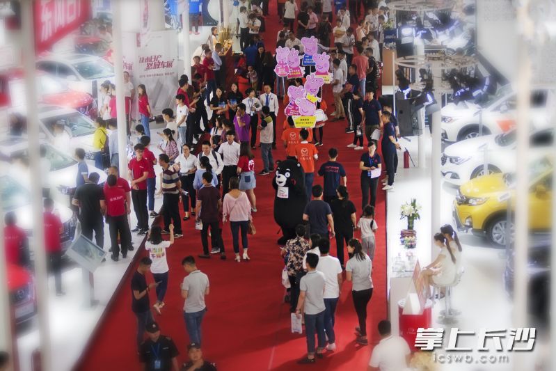 “买车想省钱，首选大车展”，是湖南车展最真实的口碑写照。 资料图片