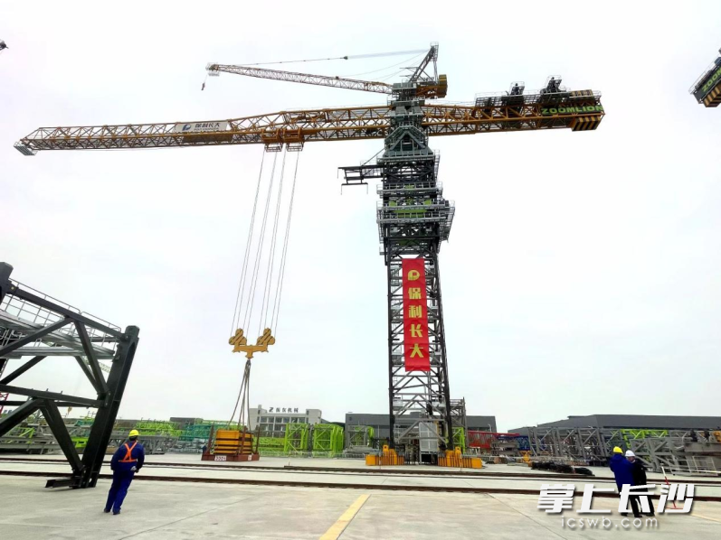 中联重科R6600-240超大型塔式起重机。长沙晚报通讯员　李家宇　供图