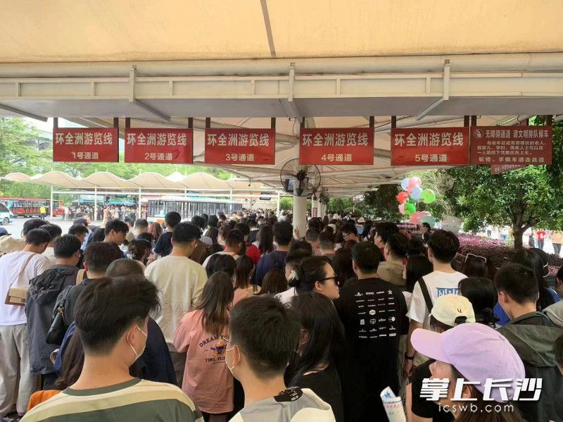 橘子洲搭乘小火车观光的游客。