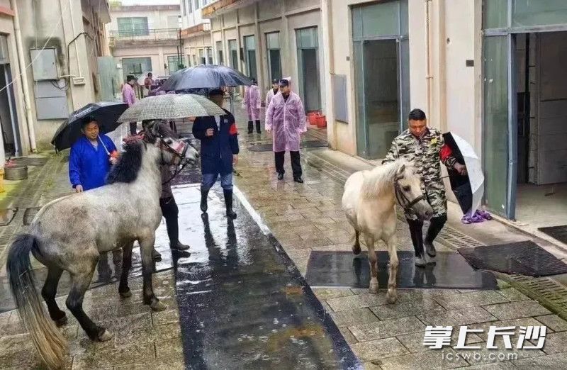 执行现场。长沙晚报通讯员 郝立柯 供图