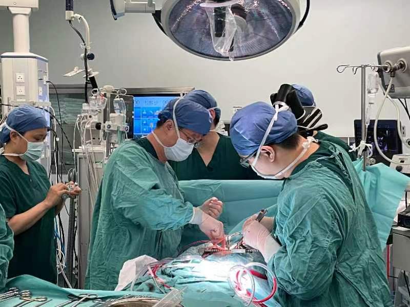 中南大学湘雅医院心脏大血管外科专家成功为一名患有白塞病的女性患者植入新型免缝合生物心脏瓣膜。   医院供图