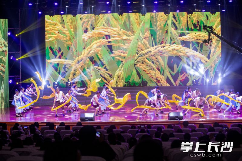 比赛现场盛况。  均为主办方供图