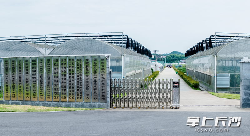 湖南蔬菜科普基地。