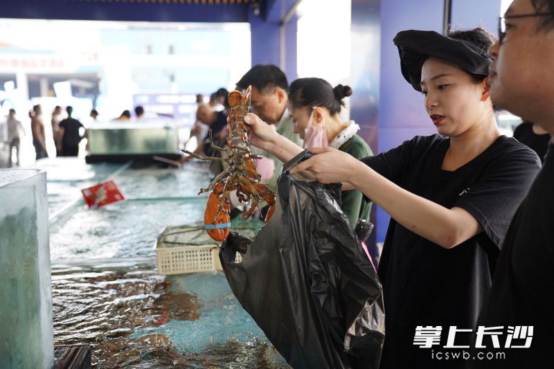 长沙市民在家门口就能享受品类丰富的海鲜大餐，图为市民正在选购海鲜。