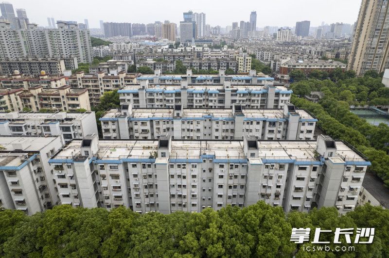 省检察院宿舍小区已完成22台电梯的联合审批备案手续,其中18台完成联合竣工手续正在进行申报补贴。 省检察院宿舍小区已完成22台电梯的联合审批备案手续,其中18台完成联合竣工手续正在进行申报补贴。