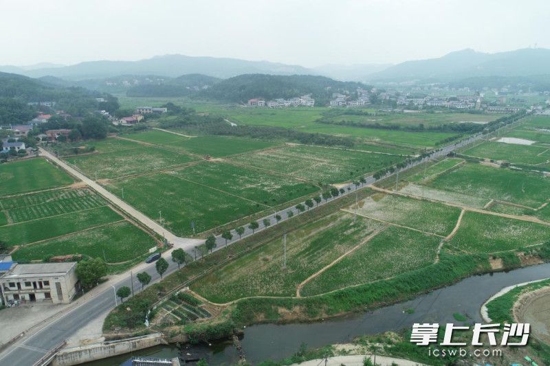 图为湖南湘江新区莲花镇耕地恢复后。