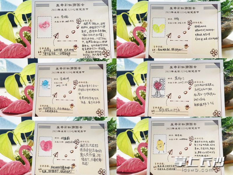  丰富的心理解压活动。
