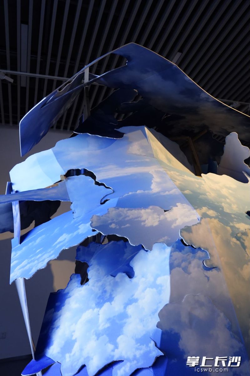 部分展品。均为主办方供图