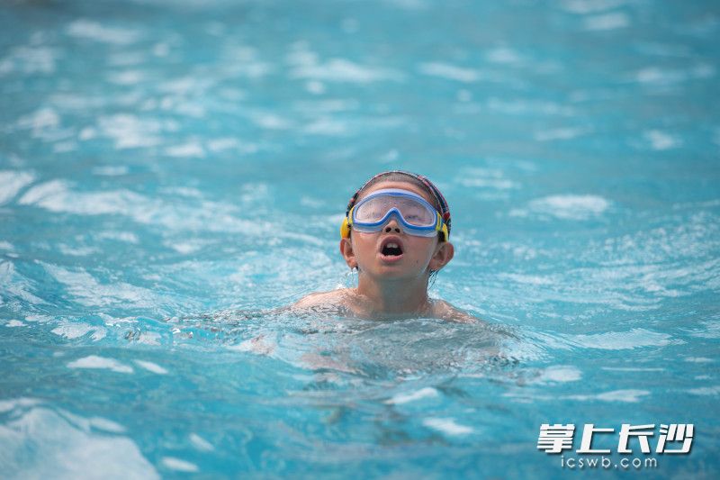 芙蓉苑游泳馆里，学生们正在游泳。