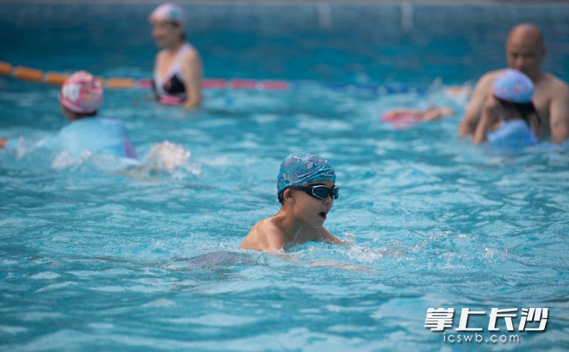 芙蓉苑游泳馆里，学生们正在游泳。