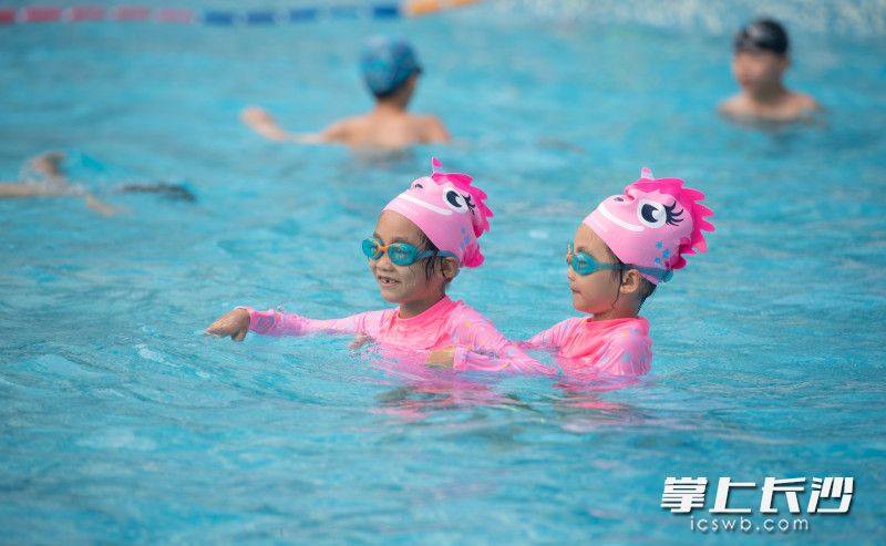 芙蓉苑游泳馆学生们正在游泳。