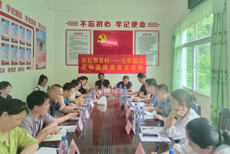 长沙市商标品牌协会、市知识产权保护协会在浏阳市大围山镇楚东村开展“百社帮百村 助力乡村振兴”活动。均为长沙晚报全媒体记者 陈良 摄
