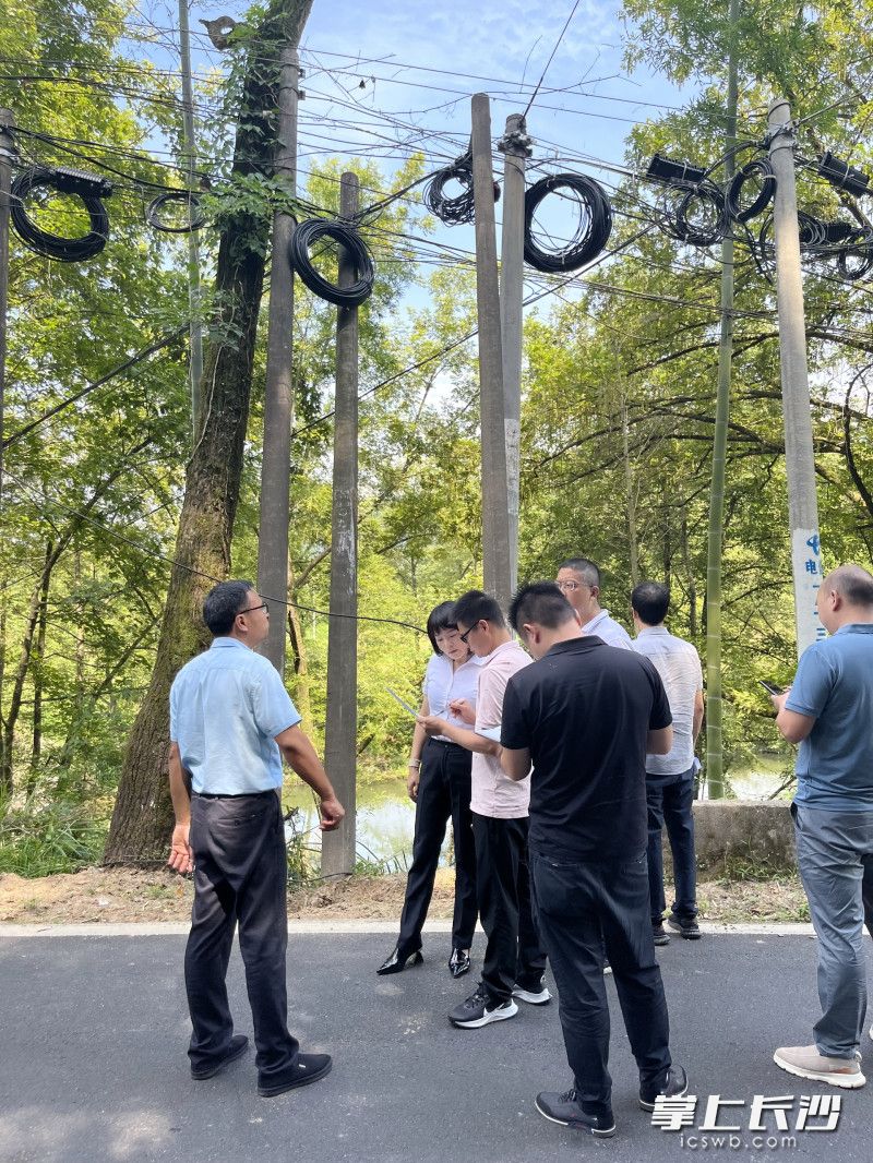 现场查看调度，全面排查“空中飞线”安全隐患。受访者供图
