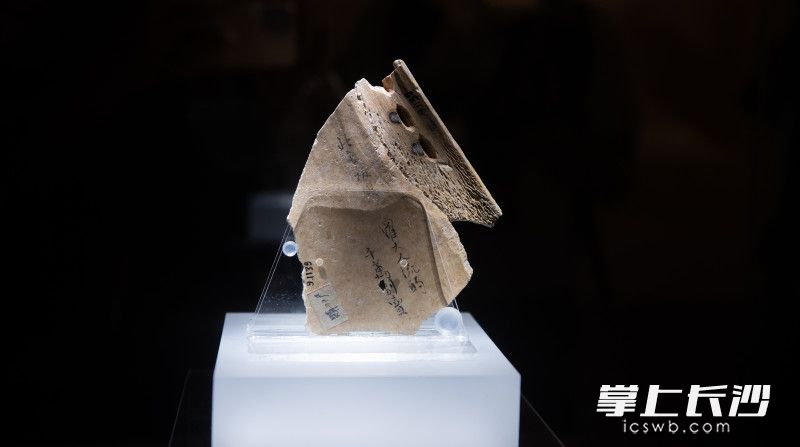 祈雨甲骨刻辞残片（背面）