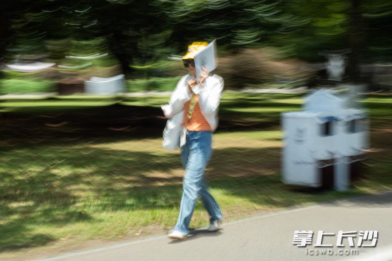 长沙进入三伏里的中伏，游客来橘子洲“打卡”热情不减。均为长沙晚报全媒体记者 董阳 摄