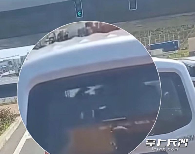 左转绿灯已经亮起，车内两人还在打架。