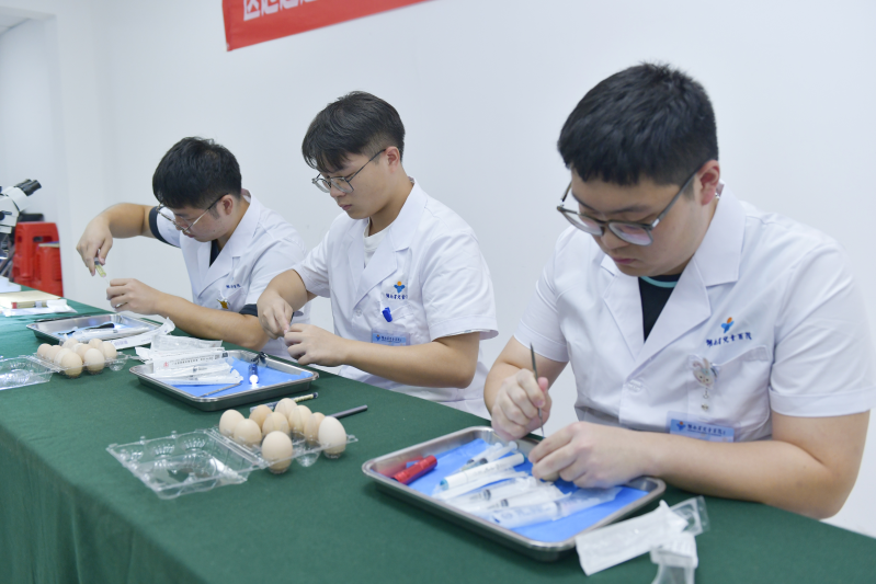湖南省儿童医院年轻医生代表在鸡蛋上进行穿刺比赛。图片均为长沙晚报通讯员 姚家琦 摄