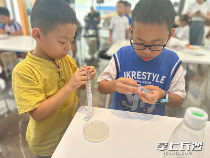 孩子们自己动手做实验。