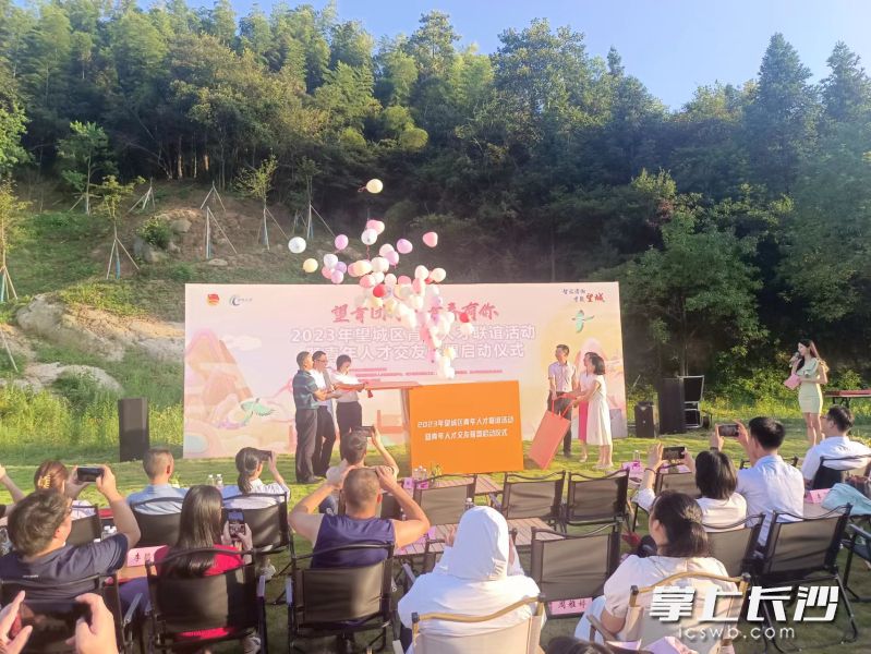 望城区青年人才交友联盟正式启动。