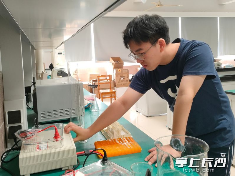 戴伟鑫在实验室做实验。长沙晚报全媒体记者 陈良 摄