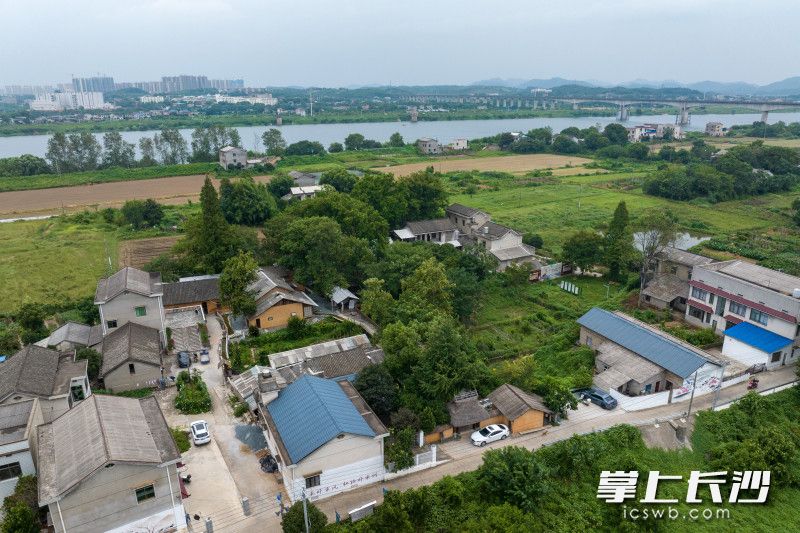 青·乡社位于长沙市天心区兴马洲岛上。这里阡陌交通，鸡犬相闻，颇有几分世外桃源的味道。长沙晚报全媒体记者 刘晓敏 易亿 摄影报道