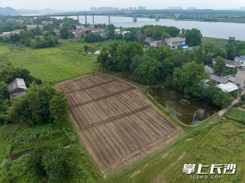 不久后，李亚洲将在民宿后的一片农田上播种多种粮食、蔬果，打造自己“生活+工作”的民宿工坊。