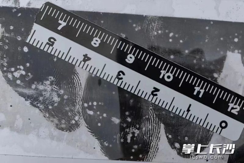 一枚指纹成了破案关键。