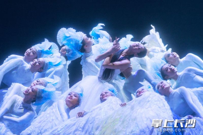 《白鹭南飞》演出剧照。