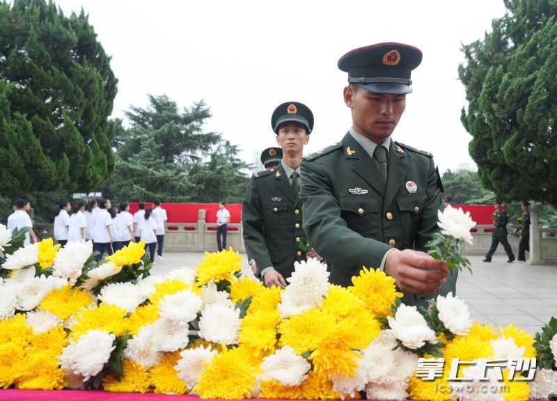 一枝枝洁白的菊花，寄托深切的缅怀和深深的思念。
