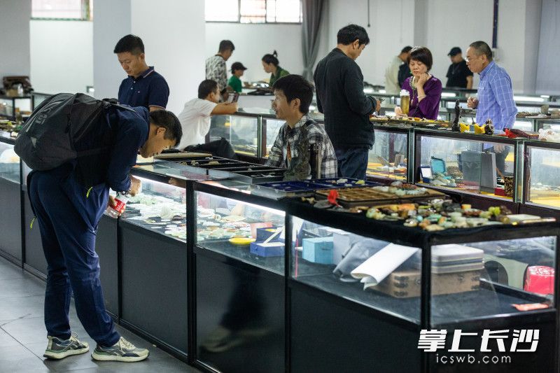 均为长沙晚报全媒体记者董阳摄