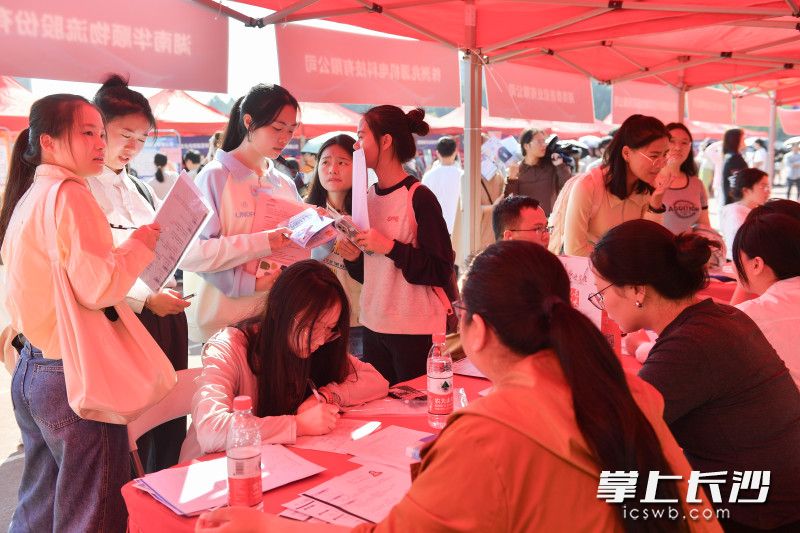即将毕业的高校毕业生们正在寻找自己满意的工作。